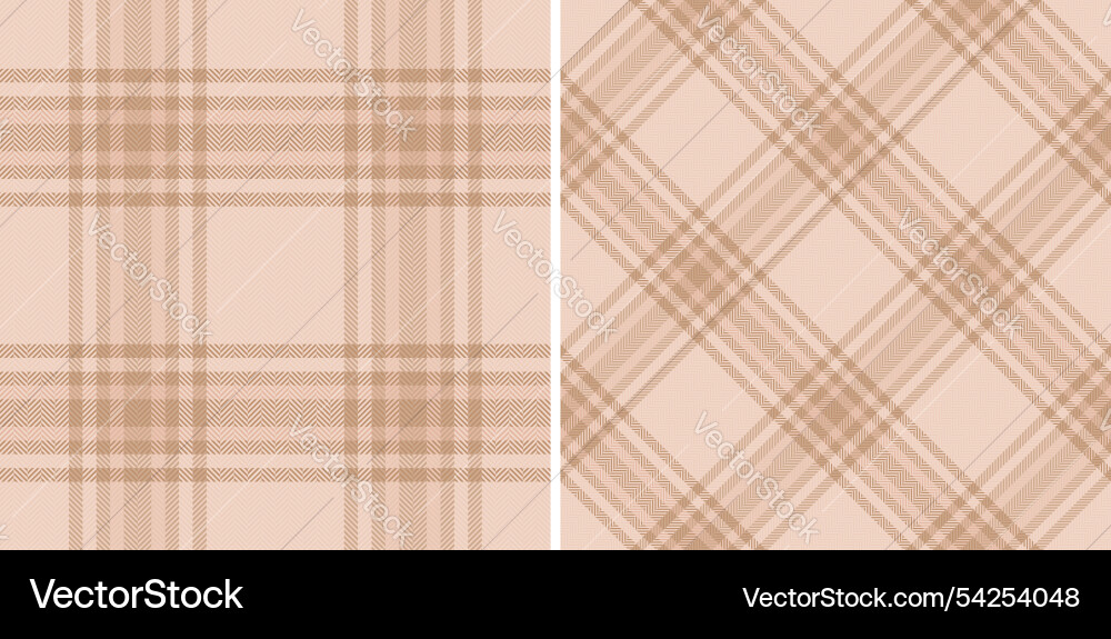 Texture check tartan of pattern background Vector Image