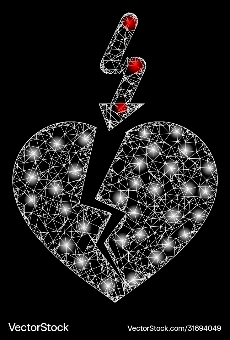 Bright web net break heart with light spots vector image