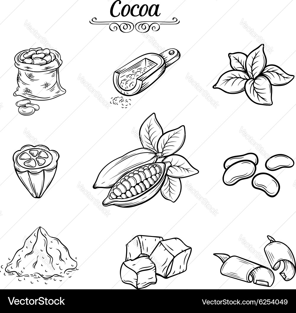 Cocoa Chocolate Elements Set Vector Image