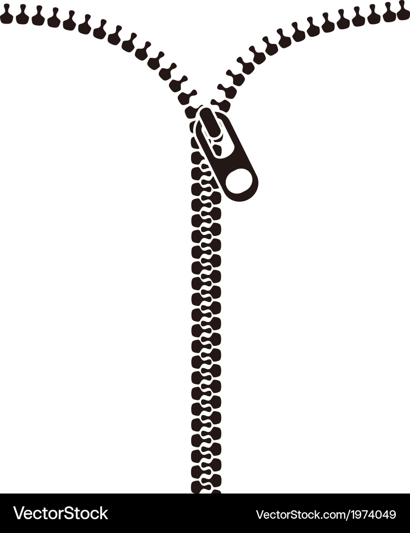 Open Zipper Detail Vector Image