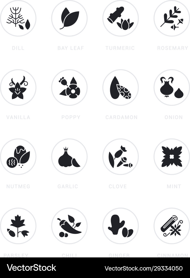 Set simple icons spices Set simple icons spices vector image