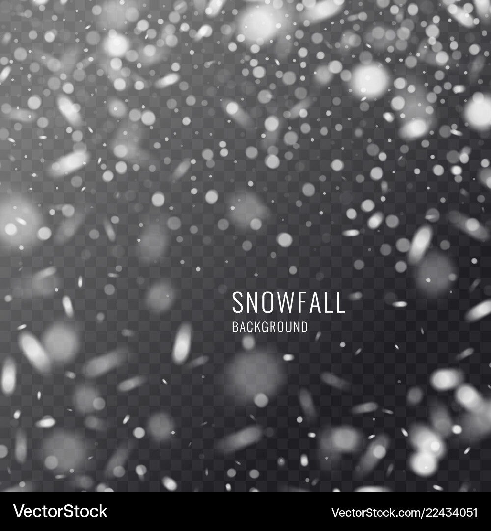 Realistic Snowflake on Dark Background Vector Image