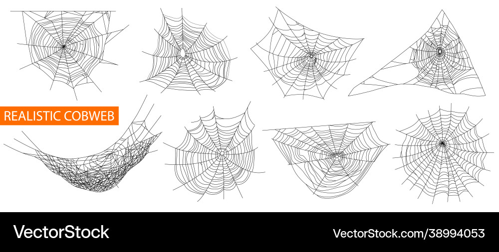 Cobweb realistic set vector image