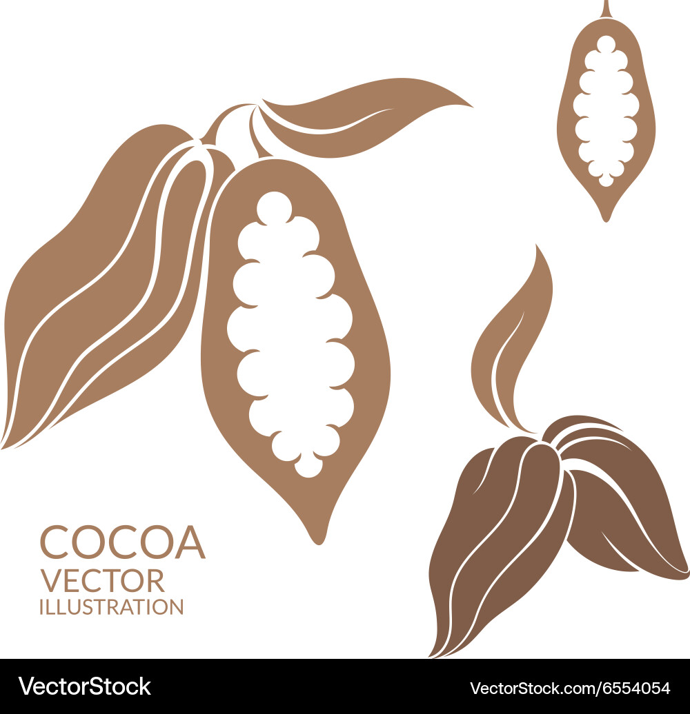 Cocoa vector image