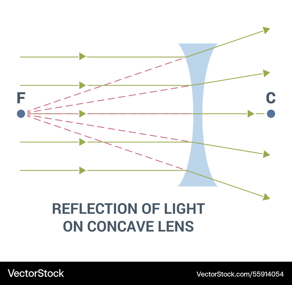 Light reflection as it interacts with a concave Light reflection as it interacts with a concave vector image