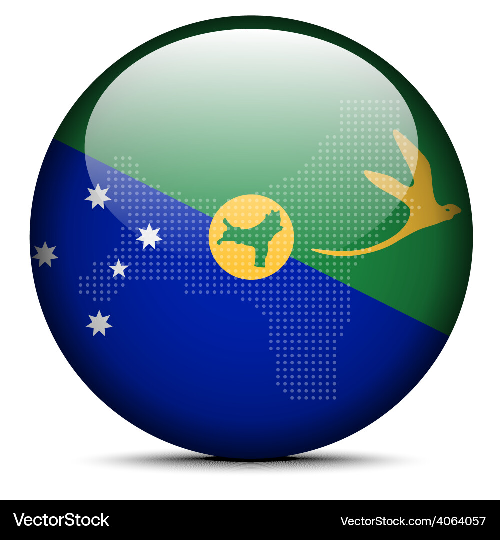 Map with dot pattern on flag button of christmas vector image