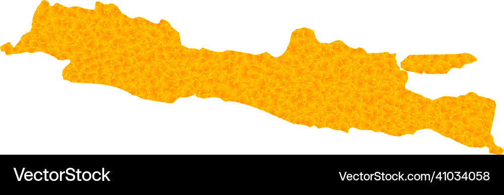 Gold map of java island vector image