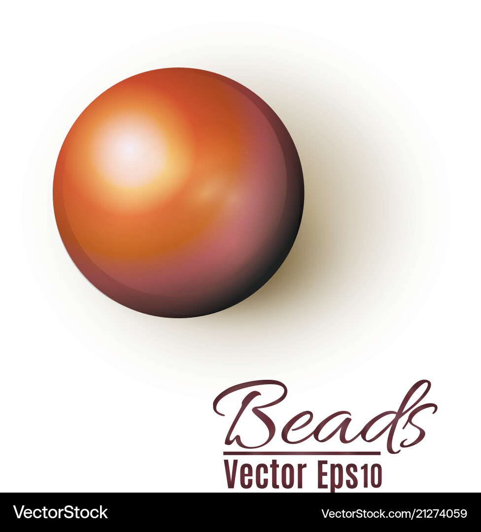 Beautiful multi-colored beads string Beautiful multi-colored beads string vector image