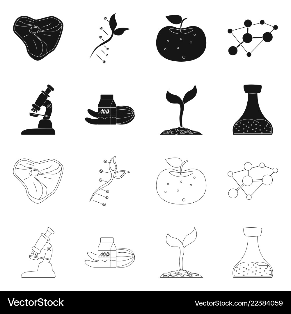 Isolated object of and icon collection Isolated object of and icon collection vector image