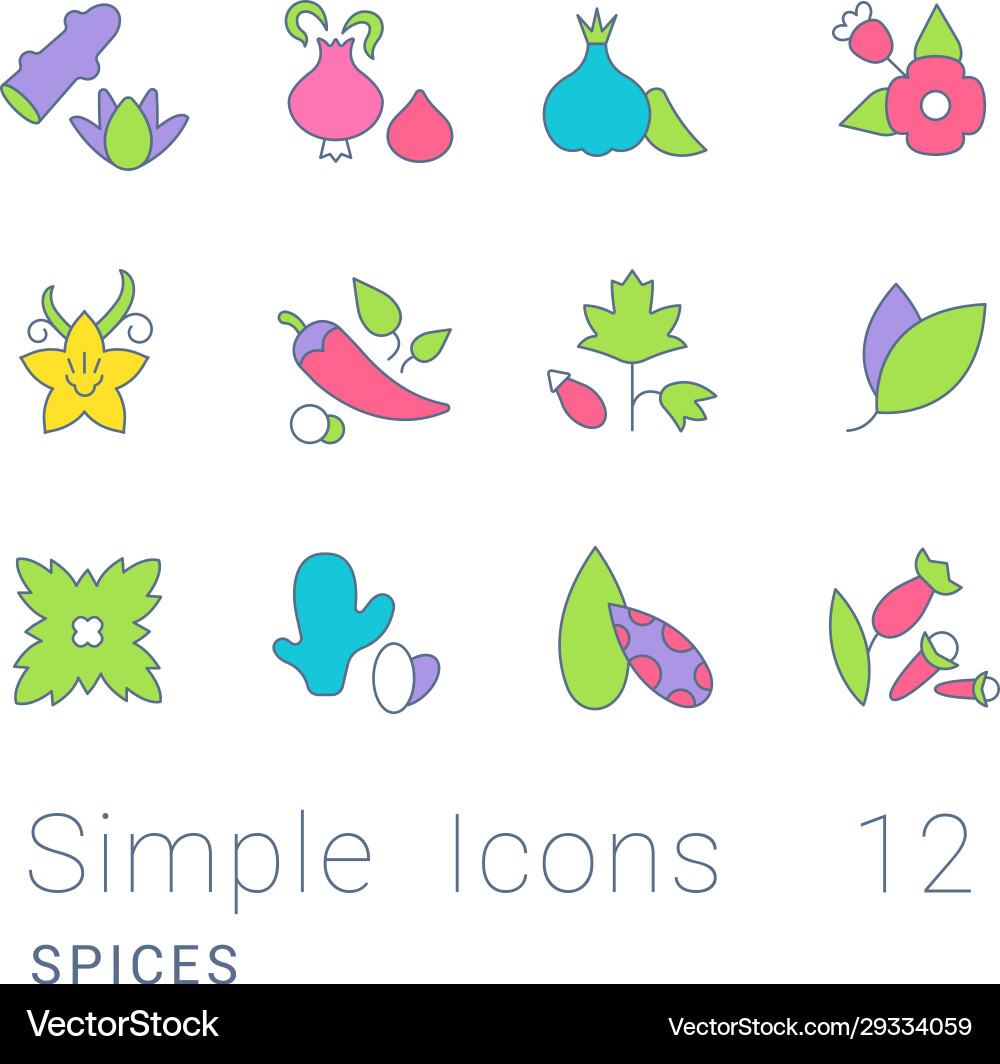 Set simple line icons spices Vector Image