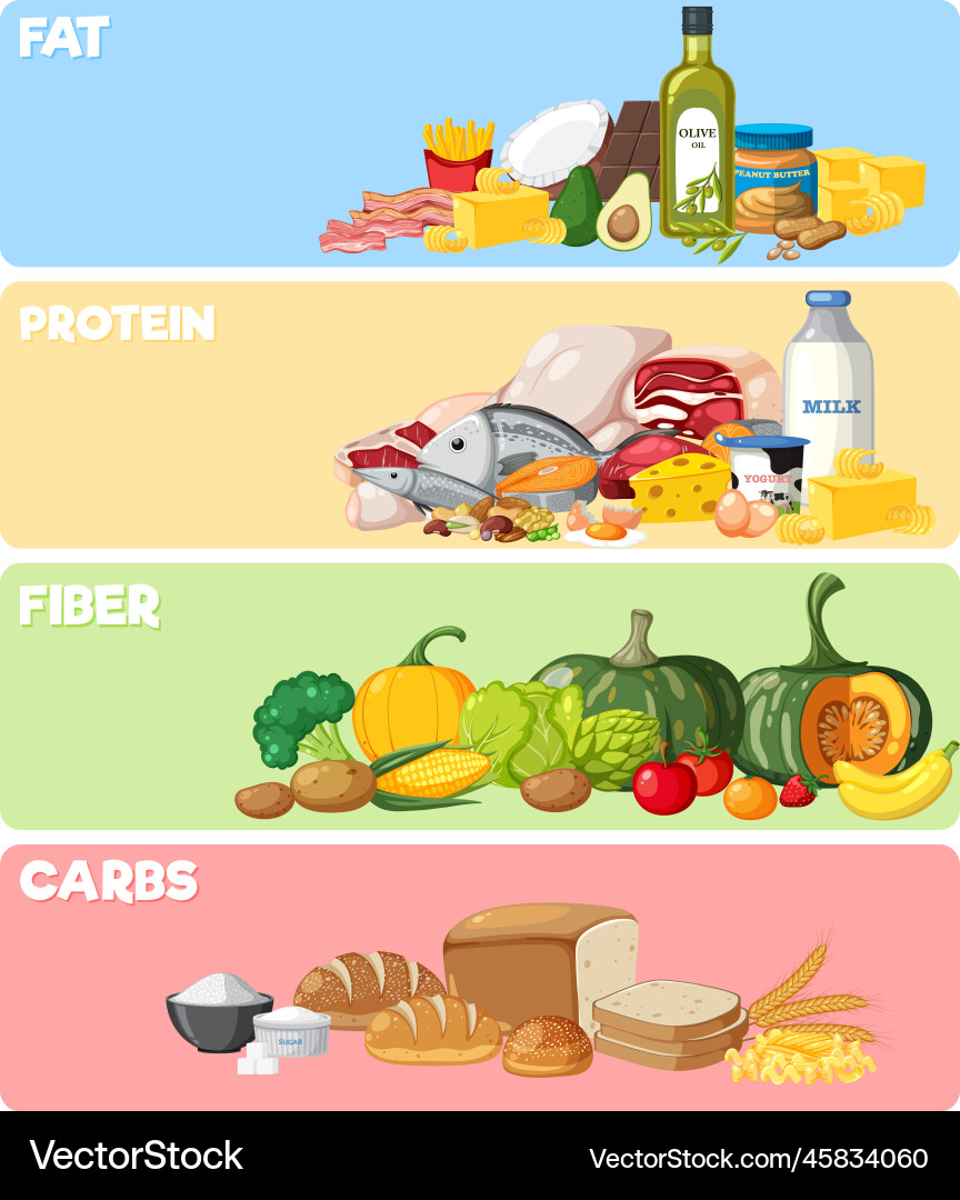 Grains in the Food Groups