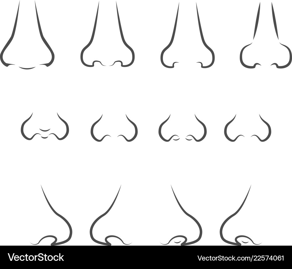 Set of icons with a nose image in profile and full Set of icons with a nose image in profile and full vector image