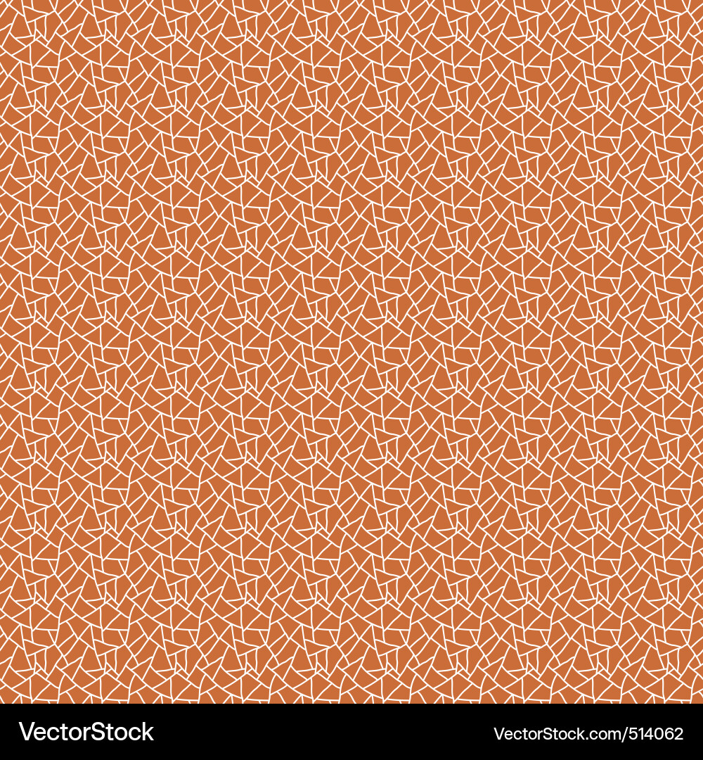 Cracked Texture Pattern vector image