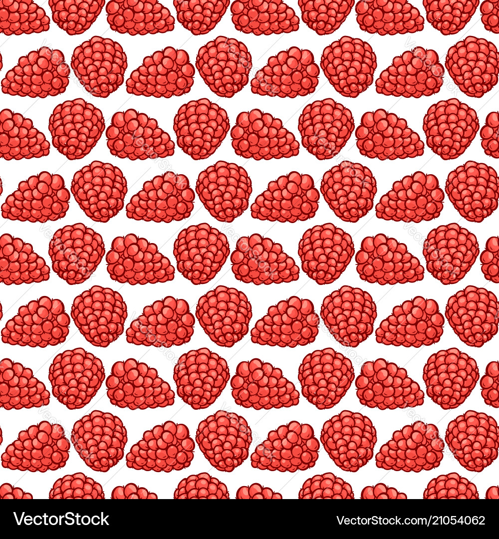 Raspberry berries seamless pattern Raspberry berries seamless pattern vector image