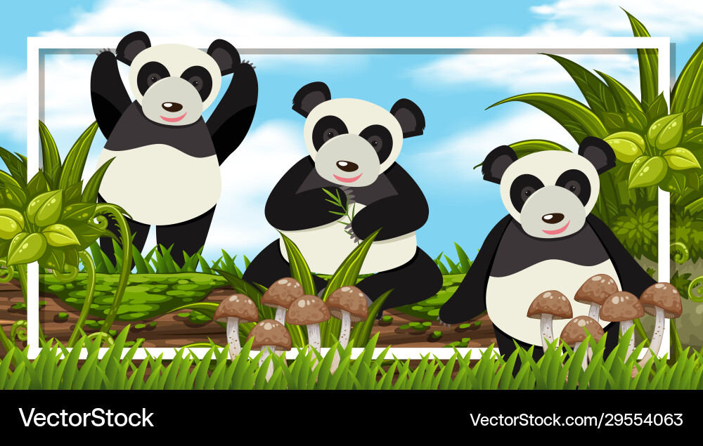 Frame design with in woods background Frame design with in woods background vector image