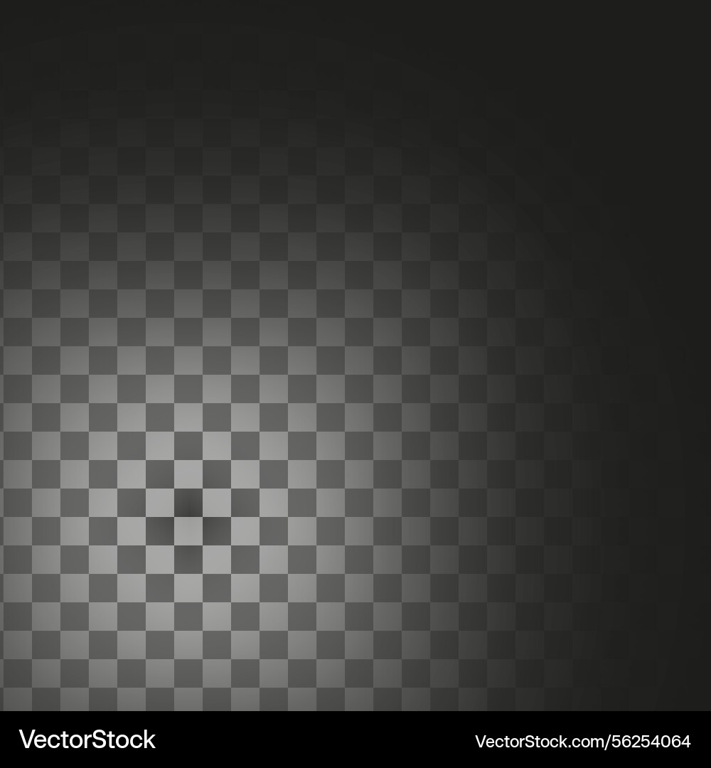 Vertical gradient background monochrome texture Vertical gradient background monochrome texture vector image