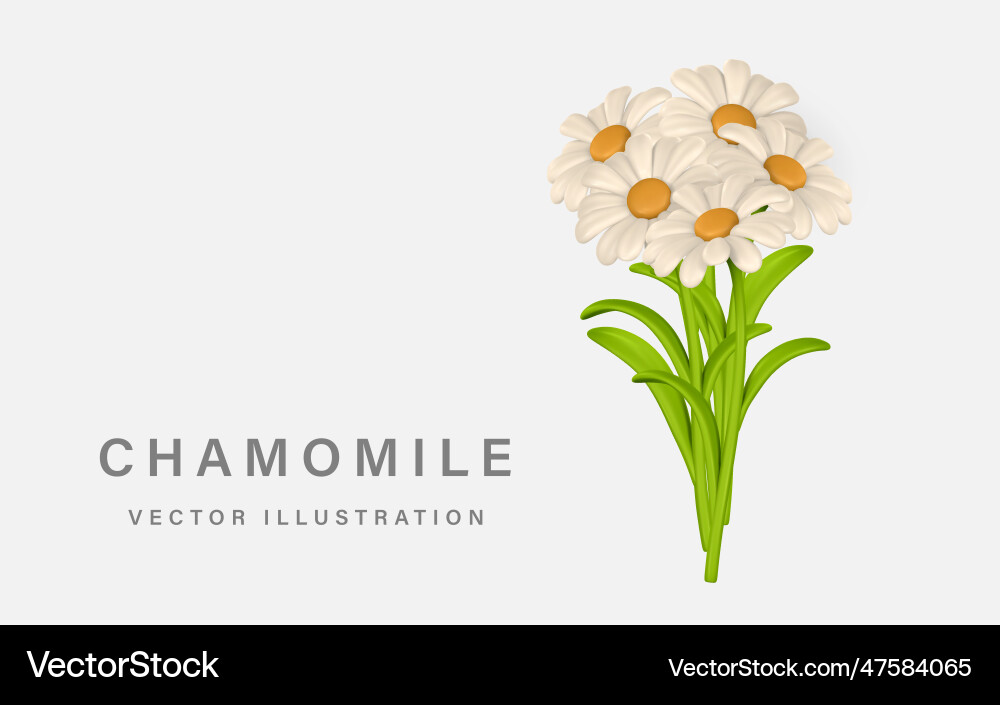 3d cute colorful bunch of chamomiles daisy flower 3d cute colorful bunch of chamomiles daisy flower vector image