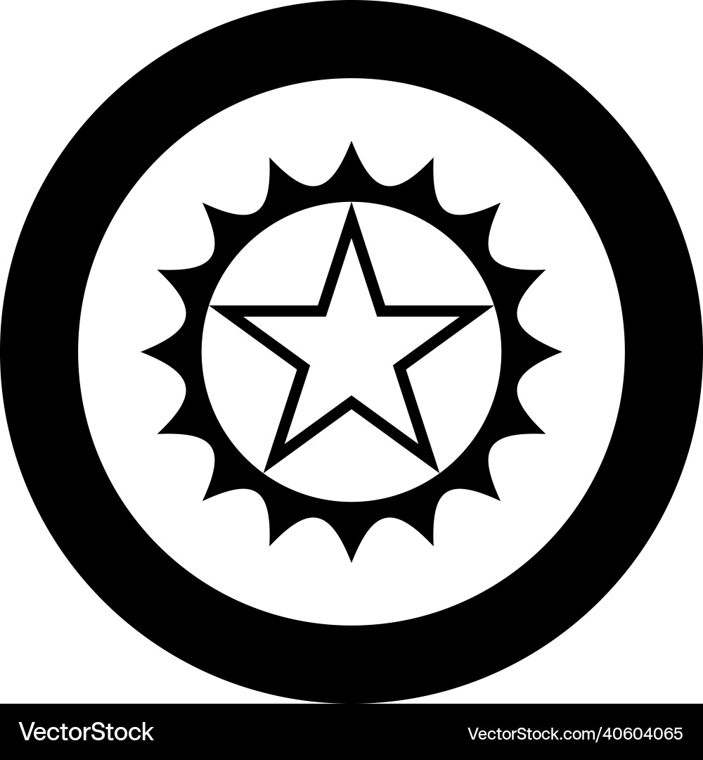 Star in circle with sharp edges icon vector image