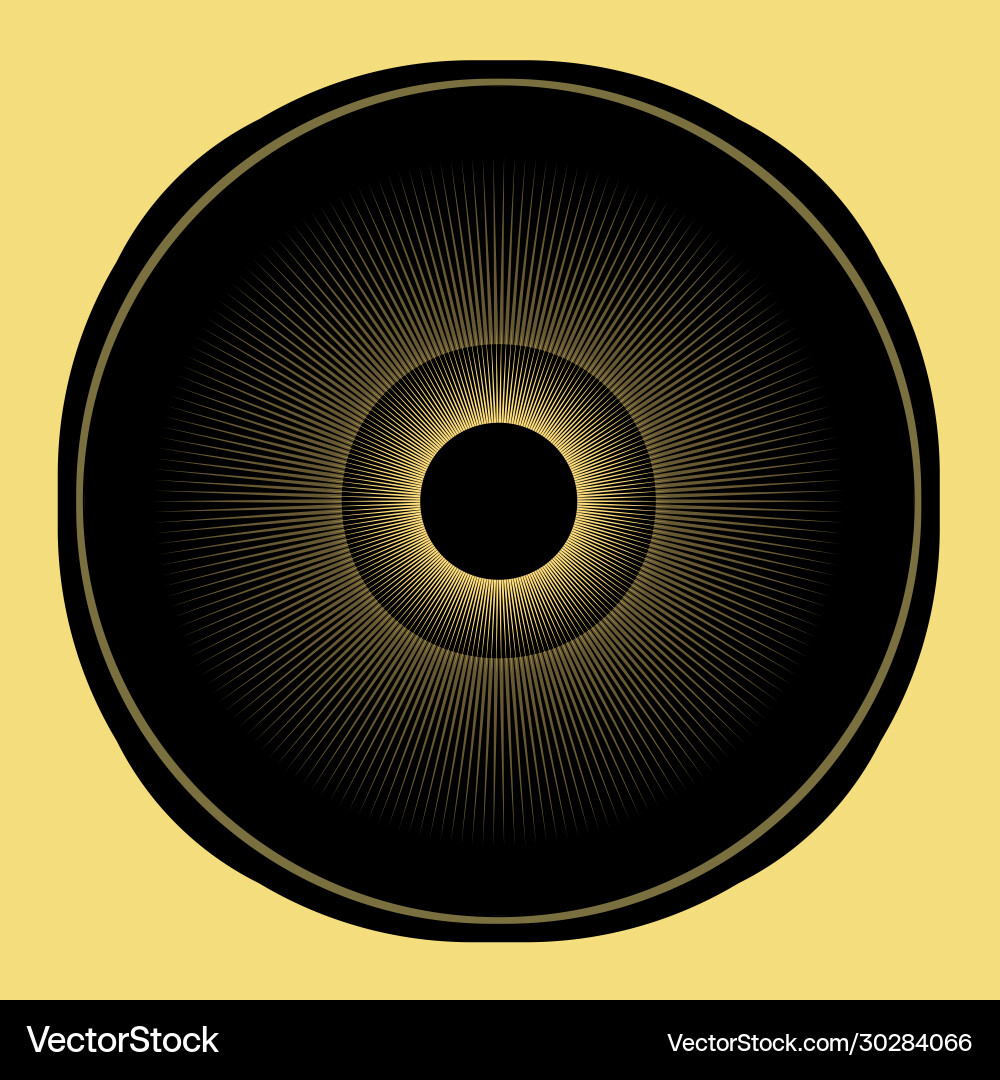 Symbolic golden circle in a circular frame Symbolic golden circle in a circular frame Vector Image