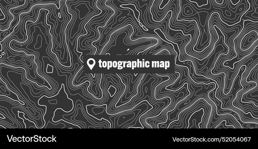 Topographic map with contour lines geographic Topographic map with contour lines geographic vector image