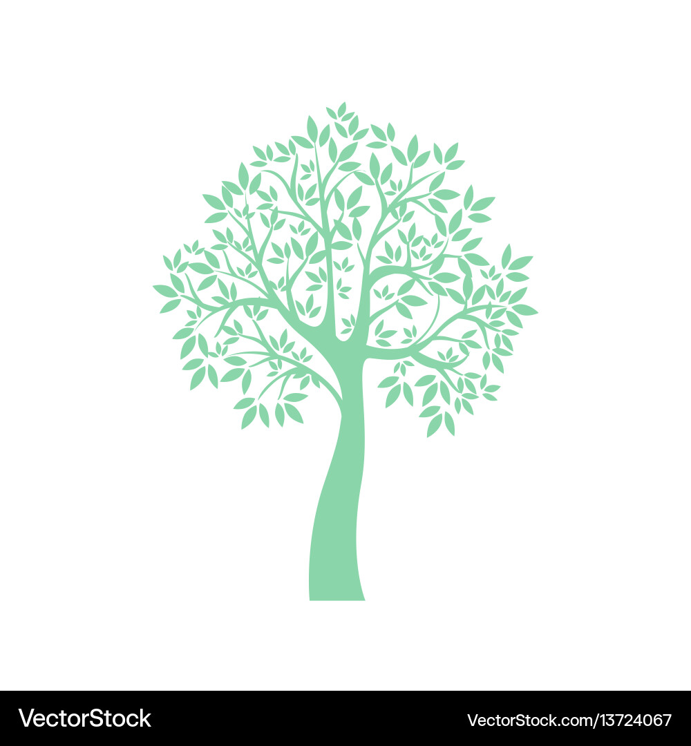 Tree Tree vector image