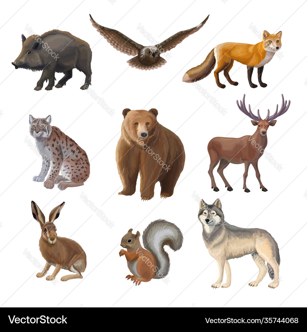 Cartoon forest animals set Cartoon forest animals set vector image