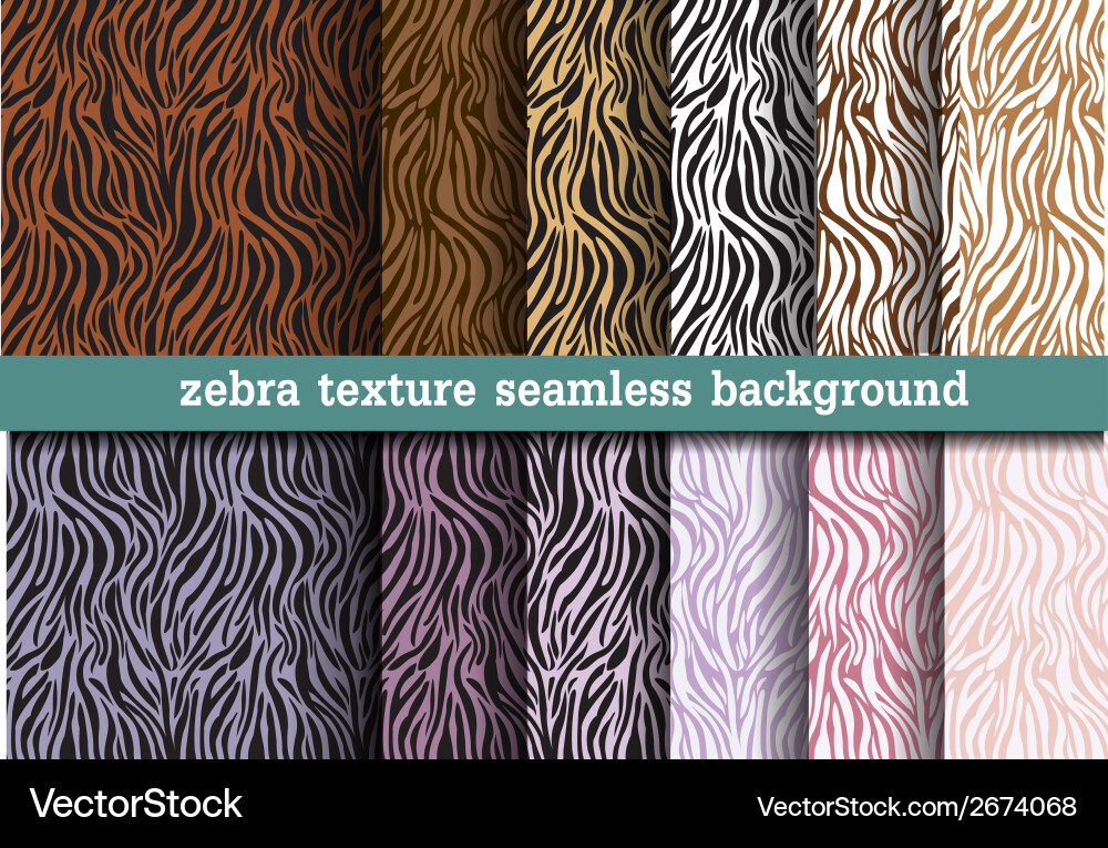 Zebra Pattern Seamless Texture vector image