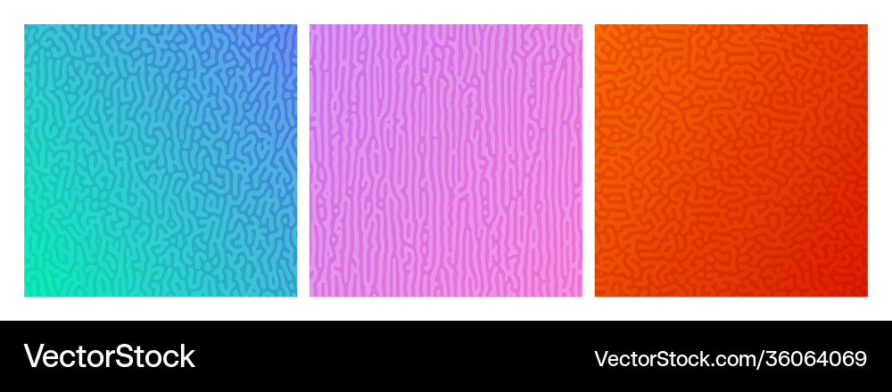 Set three colorful turing reaction gradient Set three colorful turing reaction gradient vector image