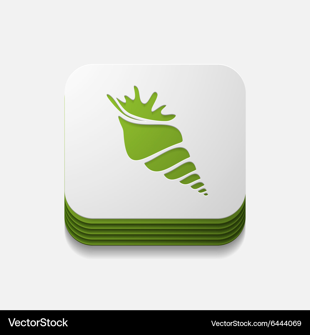 Square button shell Vector Image
