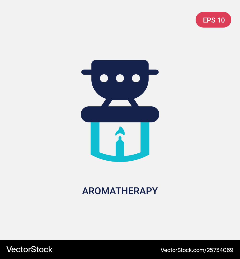 Two color aromatherapy icon from beauty concept Vector Image