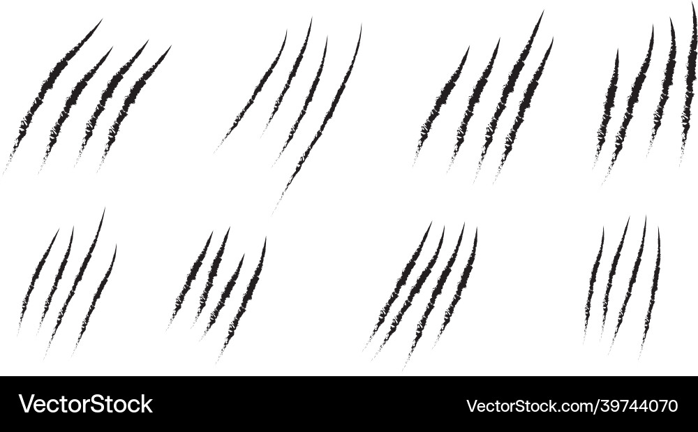 Animal claw scratches mark set cat tiger scratche Animal claw scratches mark set cat tiger scratche vector image