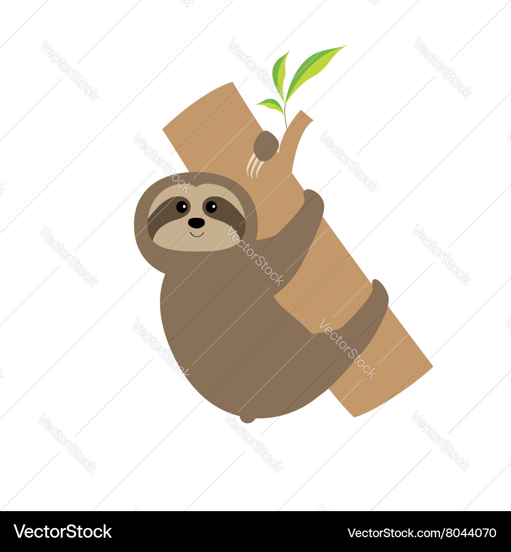 Cute Sloth Hugging Tree Branch vector image