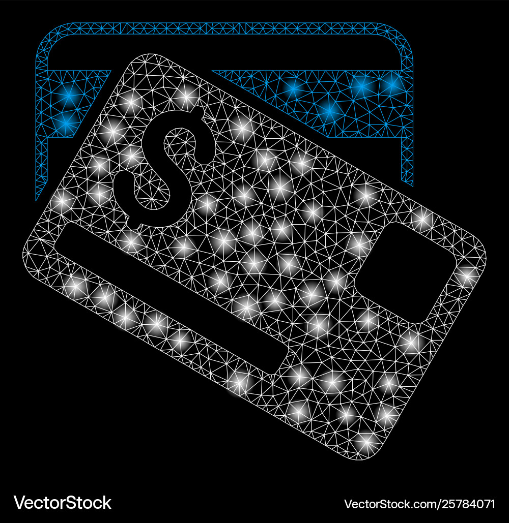 Bright mesh wire frame credit cards with light Vector Image
