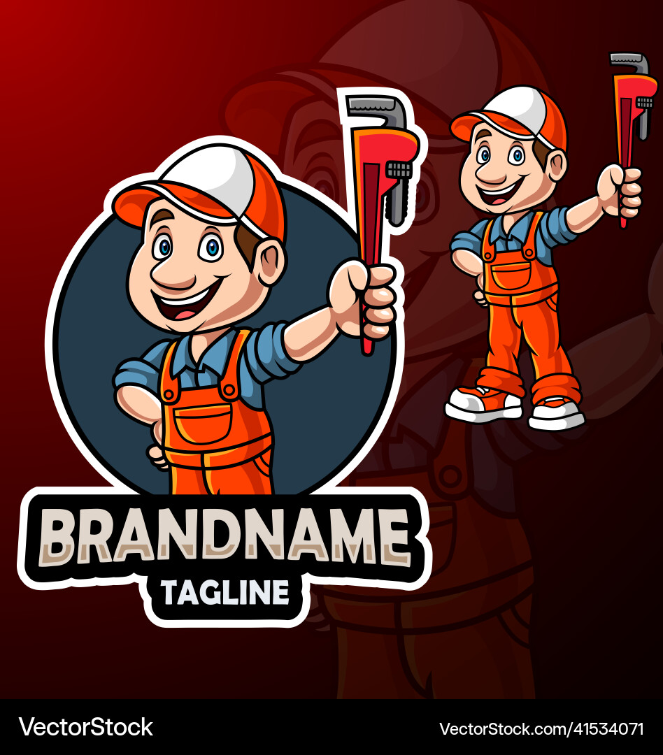 Cartoon plumber mascot desi vector image