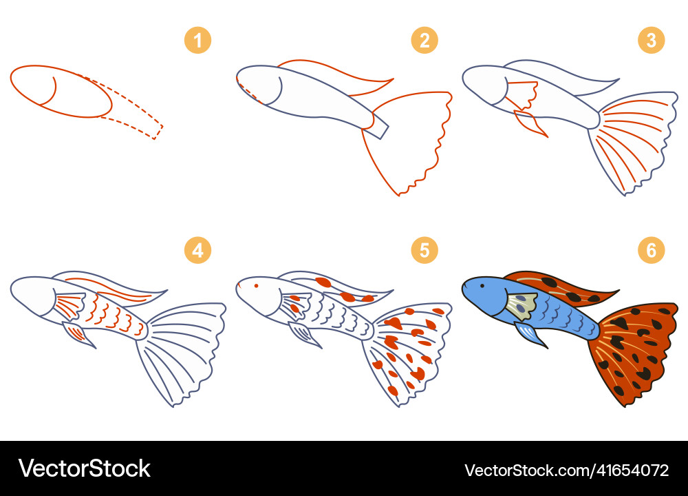 Instructions for drawing guppy step Instructions for drawing guppy step Vector Image