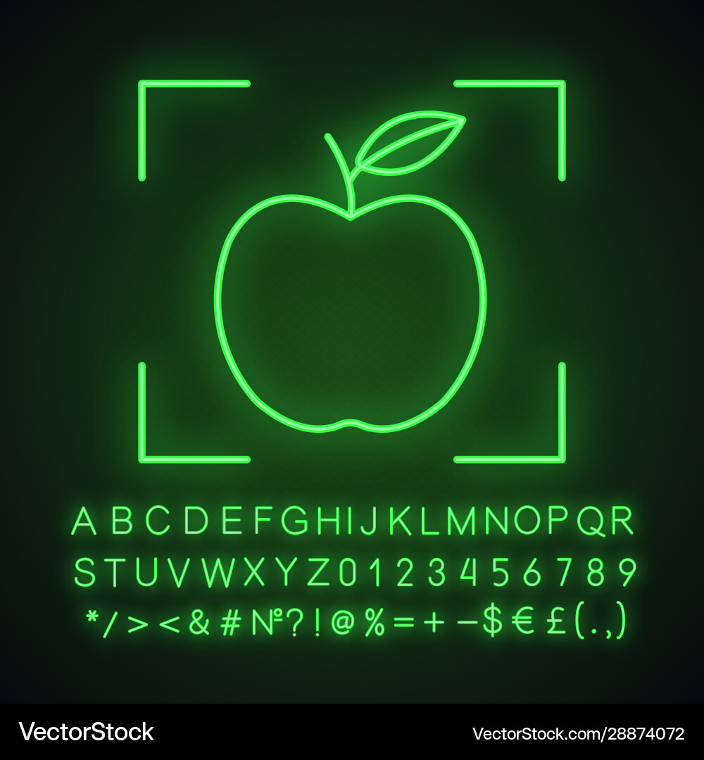 Neon Object Detection App Icon vector image