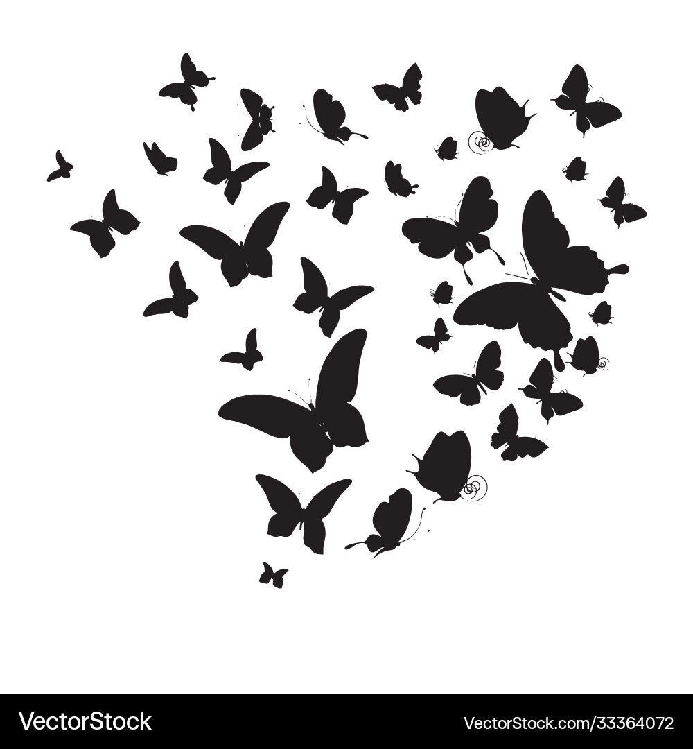 Set butterflies isolated on white Set butterflies isolated on white vector image