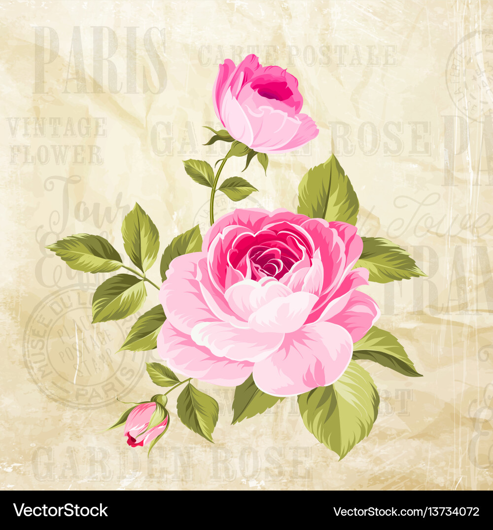 Vintage Rose Garland Vector Image