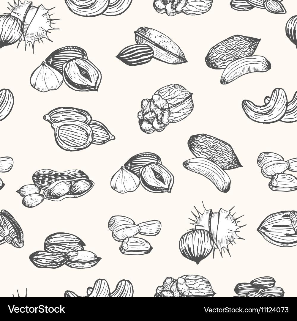 Nuts set hand draw sketch background pattern vector image