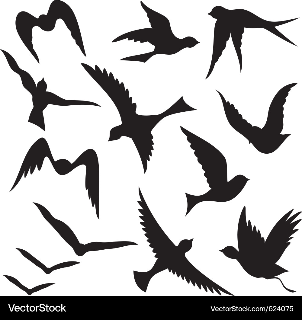 Bird Silhouettes - Flying Collection vector image