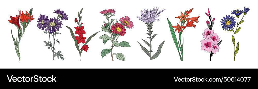 Set of beautiful romantic summer flowers isolated Set of beautiful romantic summer flowers isolated vector image