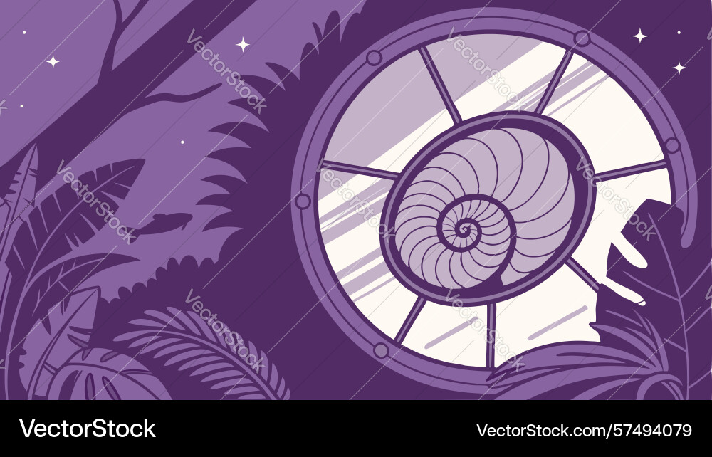 Elegant nautilus shell spiral pattern design vector image