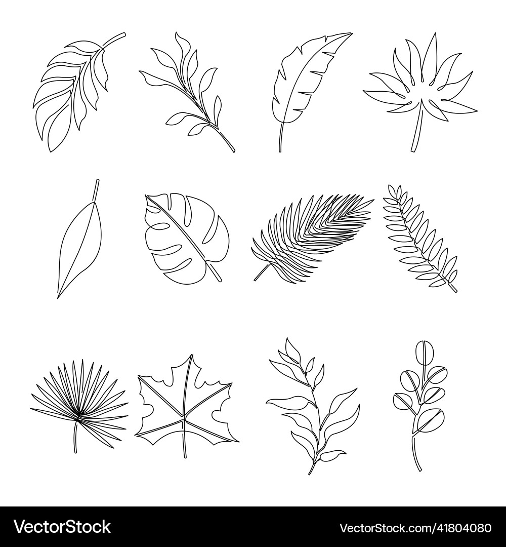 Continuous line drawing leaf set vector image