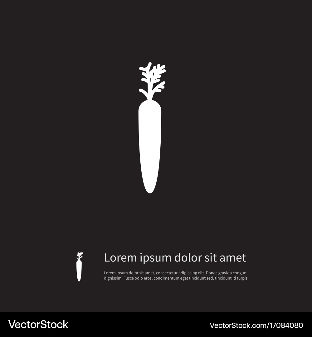 Isolated root icon vitamin element can Vector Image