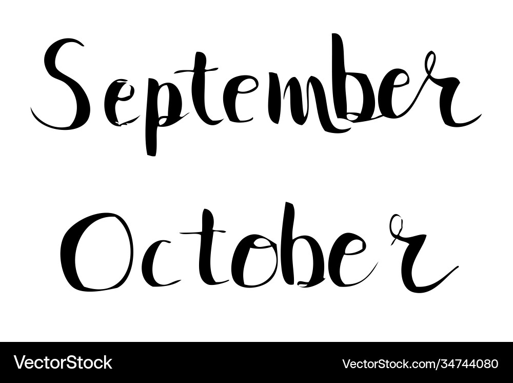 Simple script lettering hand draw sketch Simple script lettering hand draw sketch vector image