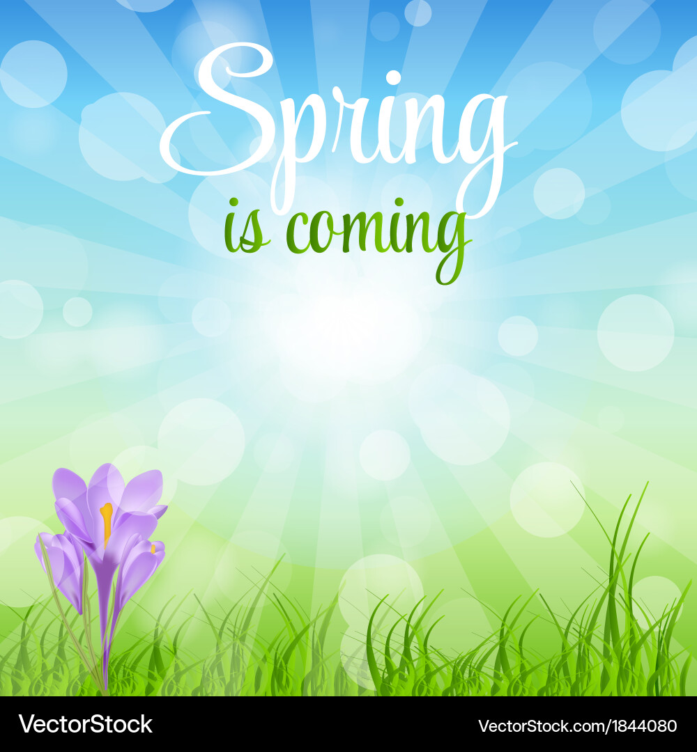 Spring green background vector image