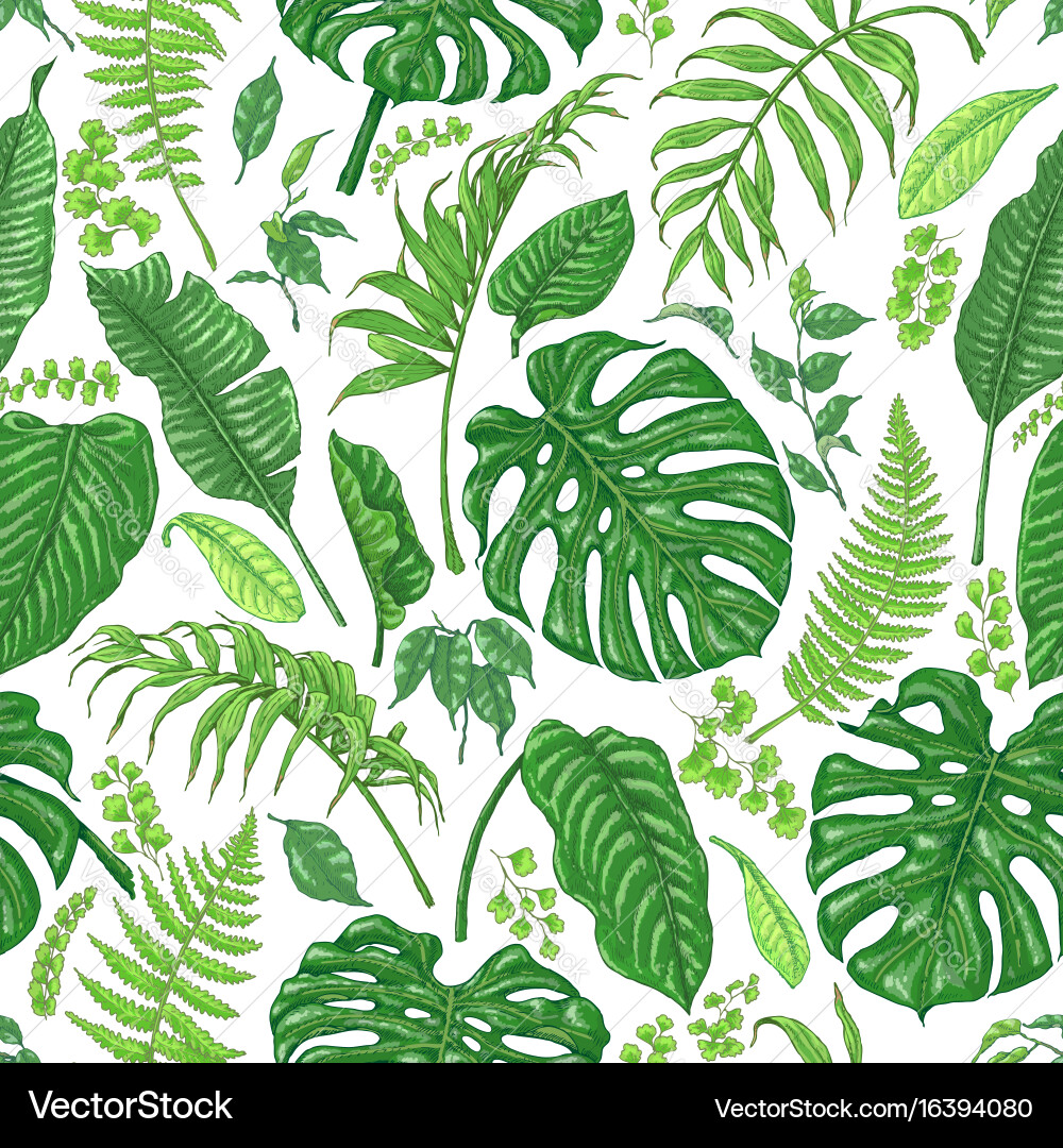Tropical Monstera Fern Pattern Vector Image