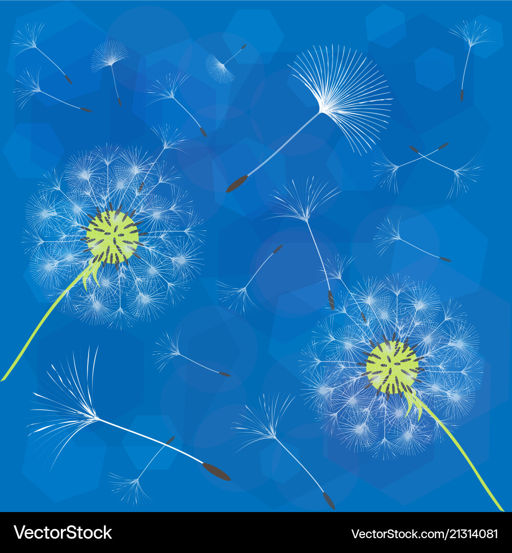 Abstract background of a dandelion for design Abstract background of a dandelion for design vector image