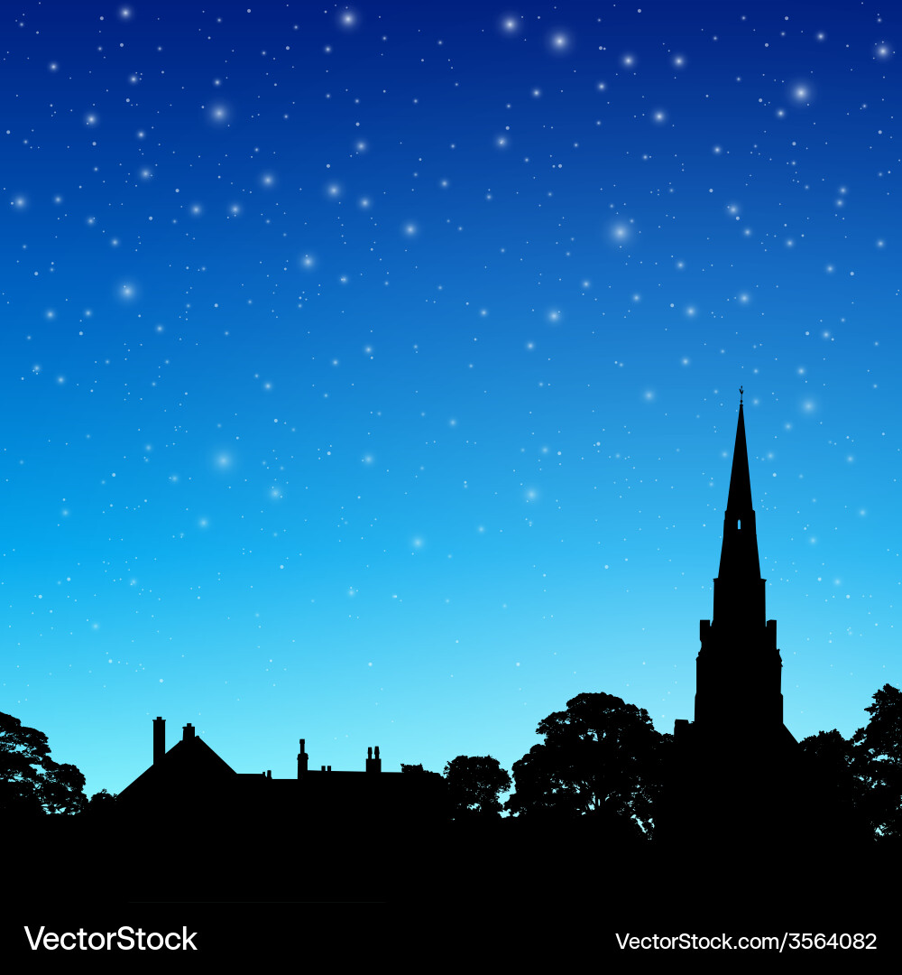 Nighttime Church Spire Silhouette vector image