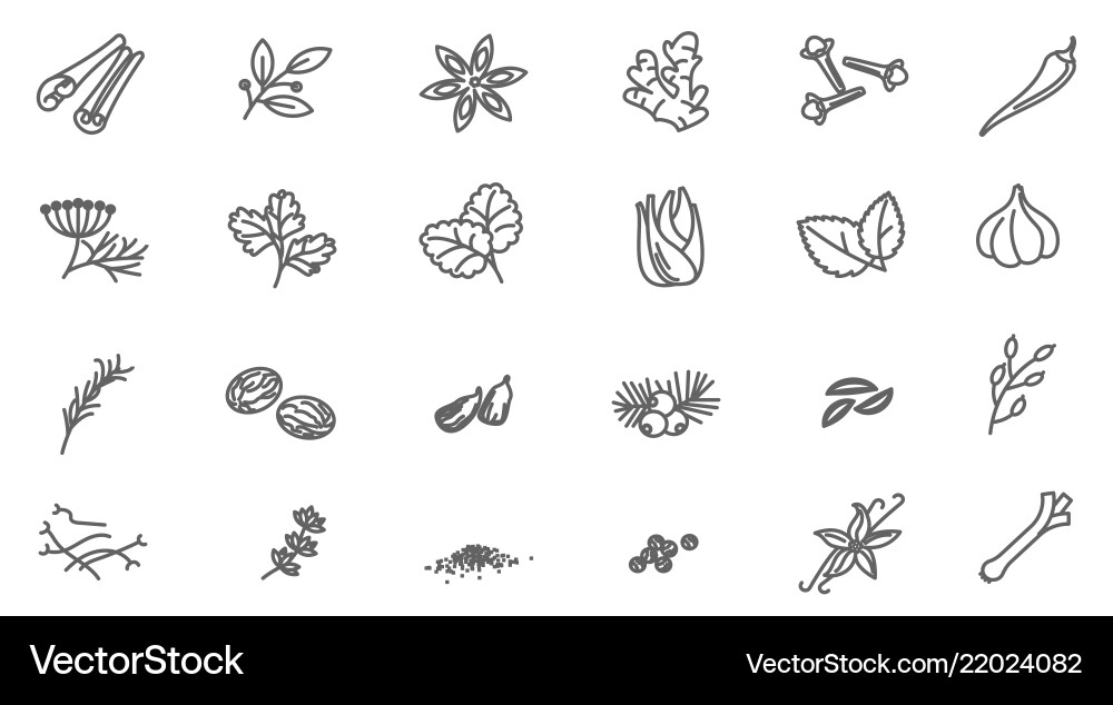 Thin line spices icon set Royalty Free Vector Image